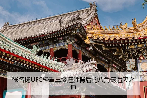 张名扬UFC轻重量级连胜背后的八角笼适应之道