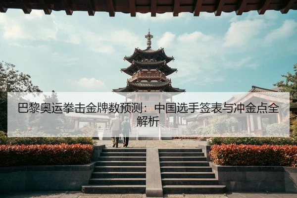 巴黎奥运拳击金牌数预测：中国选手签表与冲金点全解析