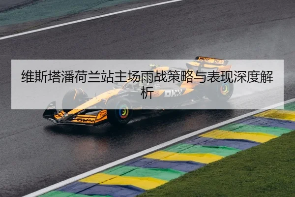 维斯塔潘荷兰站主场雨战策略与表现深度解析