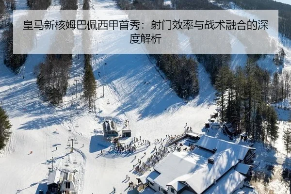 huang-ma-xin-he-mu-ba-pei-xi-jia-shou-xiu-she-men-xiao-lv-yu-zhan-shu-rong-he-de-shen-du-jie-xi-2-924.jpg