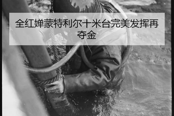 全红婵蒙特利尔十米台完美发挥再夺金