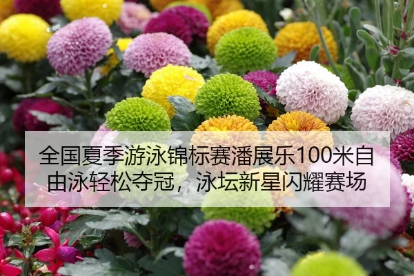 quan-guo-xia-ji-you-yong-jin-biao-sai-pan-zhan-le-mi-zi-you-yong-qing-song-duo-guan-yong-tan-xin-xing-shan-yao-sai-chang-1-747.jpg
