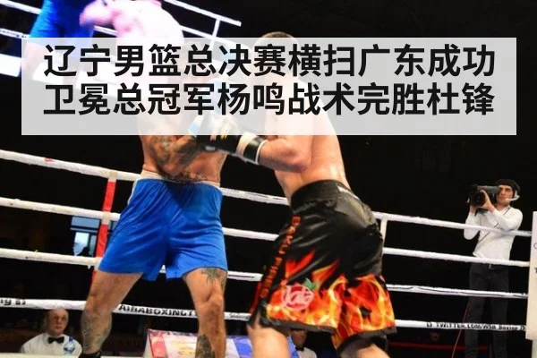 辽宁男篮总决赛横扫广东成功卫冕总冠军杨鸣战术完胜杜锋