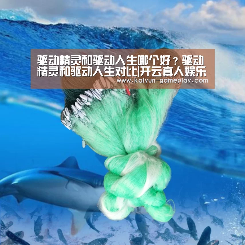 开云真人娱乐