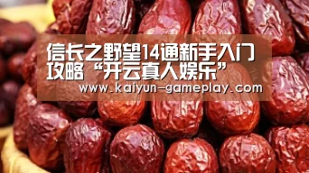 信长之野望14通新手入门攻略“开云真人娱乐”