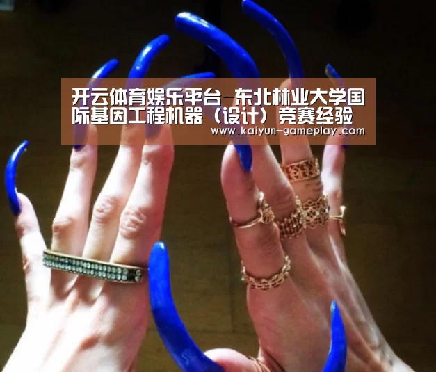 开云体育娱乐平台-东北林业大学国际基因工程机器（设计）竞赛经